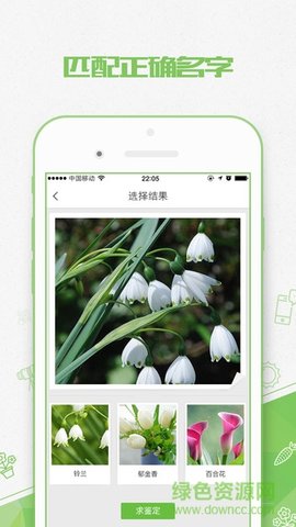 形色  v3.14.12图3