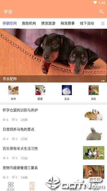 迷宠圈  v1.7图3