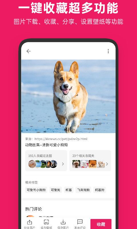 图片搜搜  v5.2.9图1