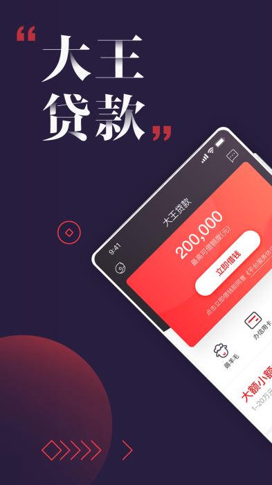 大王贷款app官网下载苹果版  v1.1.0图4