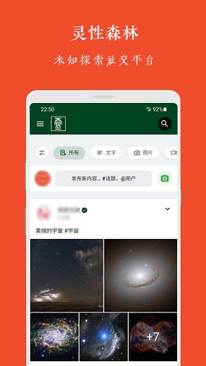 灵性森林免费版  v1.0.0图1