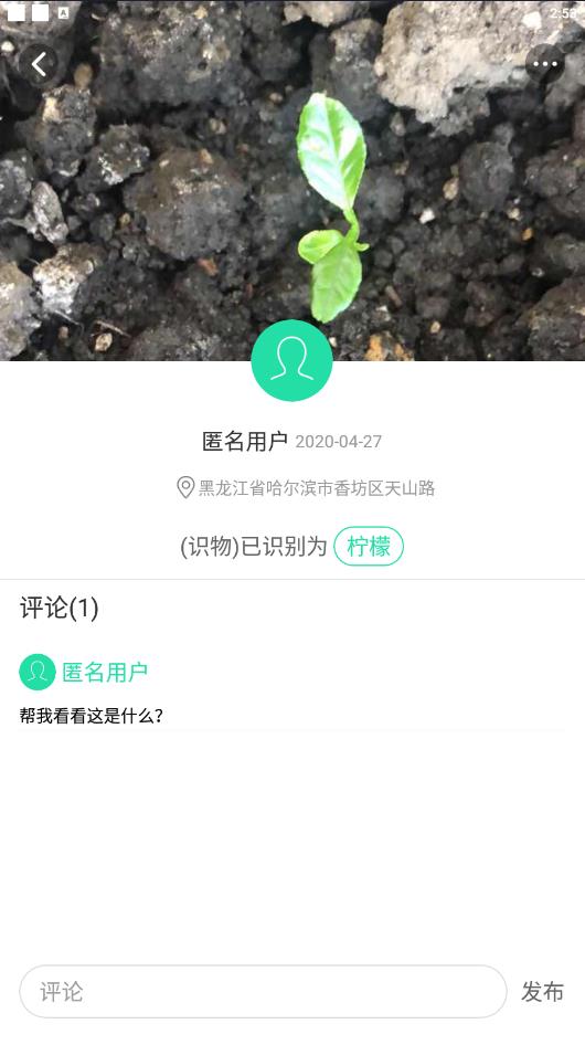 识别花草树木的  v1.4.17图3