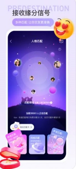 驭见Yolo2024  v1.0.3图2