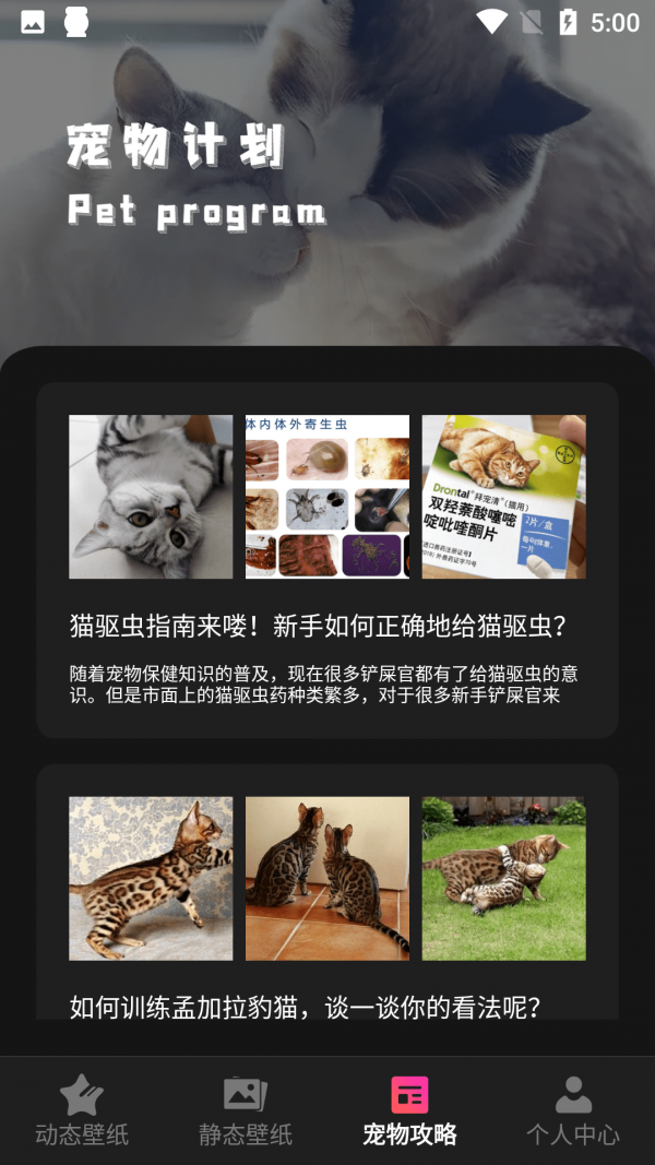 猫咪壁纸  v1.1图1