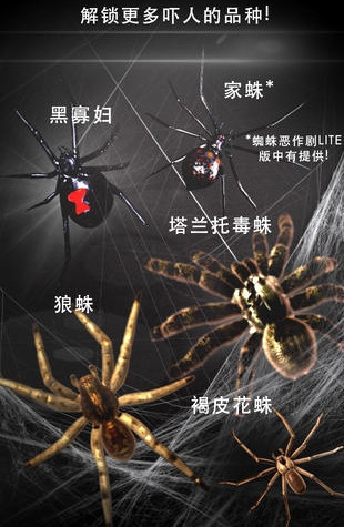 巨型蜘蛛恶作剧简版