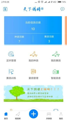 天下鸽谱  v1.1.5图1