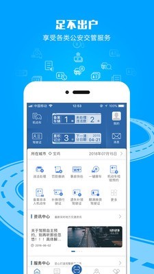 交管12123最新下载  v2.4.8图2