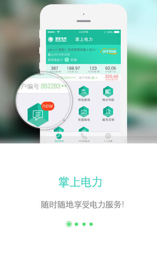 网上国网官网下载app  v2.0.5图2